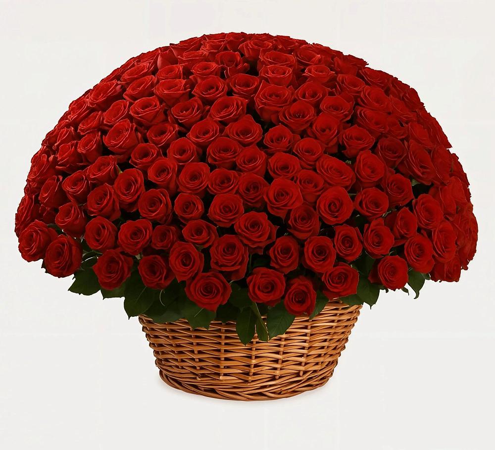251 Премиум красная роза в Назарово Премиум букет из: Розы в Назарово