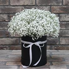 Композиция коробка гипсофил в Назарово Цветочная композиция из Гипсофила в шляпной коробке в Назарово