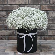 Композиция коробка гипсофил в Назарово Цветочная композиция из Гипсофила в шляпной коробке в Назарово